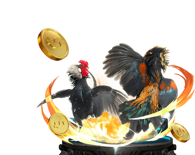 Cá cược bóng đá AF88